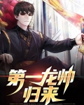 第一章龙帅回归是什么小说