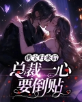 携宝归来后，总裁一心要倒贴