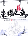 你我的荣耀之巅