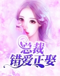 错爱总裁一婚到底 小说