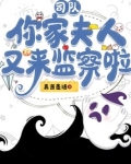 司少,你夫人太妖孽了全文阅读