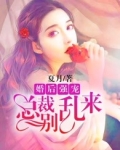 婚后强宠：总裁别乱来