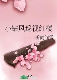 小钻风巡视红楼 听雨问雪