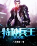 特种兵王在花都
