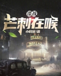 谍战芒刺在喉笔趣阁
