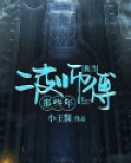 我当二皮师傅那些年小说