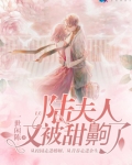 陆夫人又双 小说