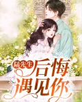 陆先生后悔遇见你