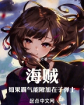 海贼王霸气可以附在子弹上吗