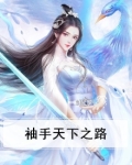 袖手天下小说