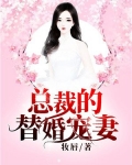 总裁的替婚甜妻电视剧