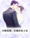《闪婚蜜爱:总裁宠妻上瘾》