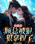 闪婚后顾总被狠狠拿捏了