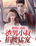 撩错后,我被渣男小叔掐腰猛宠