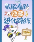 神宠：我能看到隐藏进化路线