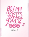 腹黑教授宠妻日常