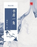 书房一角(精品公版)