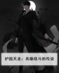 护国天龙：英雄战斗的传说