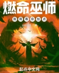 燃命巫师，我用寿命加点