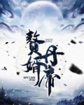 赘婿丹帝TXT下载