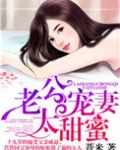 老公宠妻太甜蜜