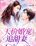 天价婚宠好看吗