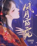 风月皎皎月弯