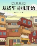 飞扬年代：从货车司机开始