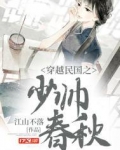 穿越民国之少帅春秋 第257章