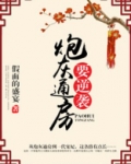 炮灰通房要逆袭好看吗
