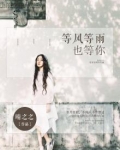 等风等雨也等你上一句是什么