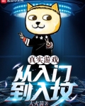 真实游戏：从入门到入坟