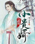 逍遥小贵婿