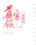 对首领宰一见钟情之后全文免费阅读