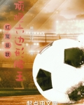 曼联 红魔