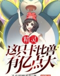 宠物小精灵卡比兽那关怎么过