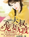 大叔宠妻无度全文免费