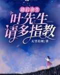 叶先生请放手免费阅读