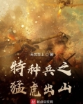 特种兵猛虎突击队是什么电视剧