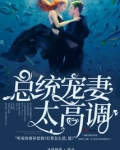 重生总统宠妻太高调