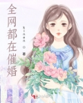 全网都在催婚