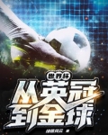 世界杯从英冠到金球免费