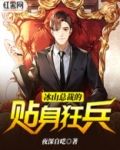 冰山总裁的贴身狂兵