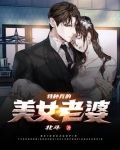 特种兵的美女老婆 小说