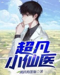 医仙小凡