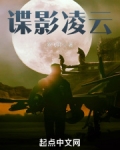 谍影凌云