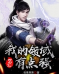 玄幻：我的领域有点强