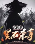 武侠：我，黑石杀手