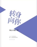 歌词你转身向北