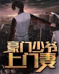 豪门少爷俏佳人